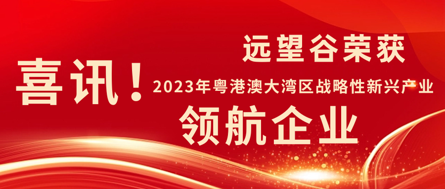 新年迎喜讯 | 银河网上集团荣获2023年粤港澳大湾区战略性新兴产业“领航企业”！